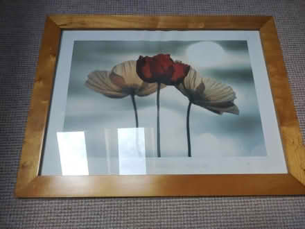 Photo of free Large Picture Frame (Caton LA2) #1