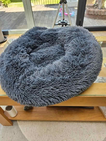 Photo of free Therapeutic Cat Bed (DA1) #3