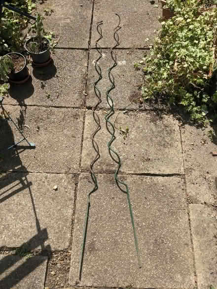 Photo of free Corkscrew climber supports (Howlands, AL7) #1