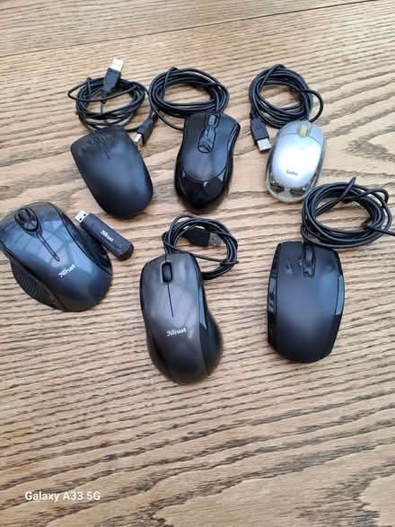 Photo of free a nest of mice (hednesford WS12) #1