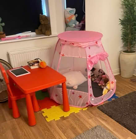 Photo of free Pink Girl Fancy tent (Levenshulme M19) #3