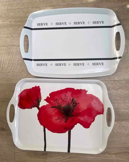 Photo of free Two trays (Stubbington PO14) #1