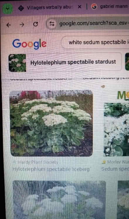 Photo of free Plants (Aspley NG8) #3
