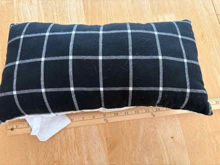 Photo of free "Reserved for the cat" pillow (Downtown Sunnyvale) #1