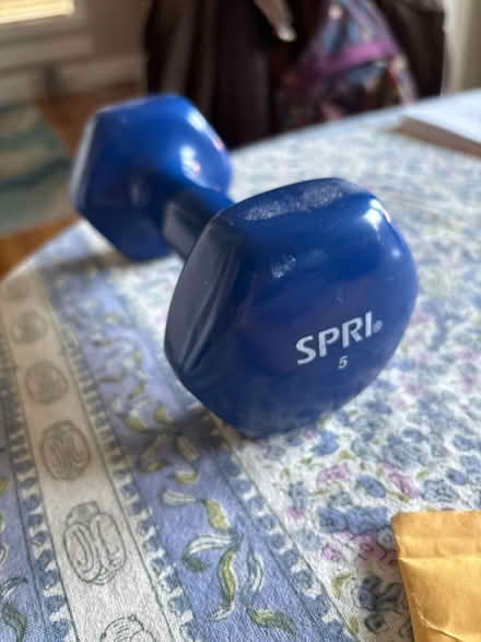 Photo of free 5 lbs dumbbell (Belmont-Watertown) #1