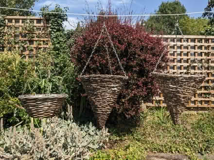 Photo of free Hanging baskets (Howlands, AL7) #1