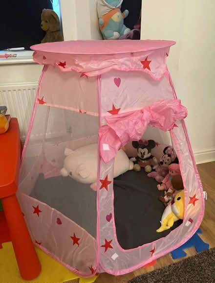 Photo of free Pink Girl Fancy tent (Levenshulme M19) #1