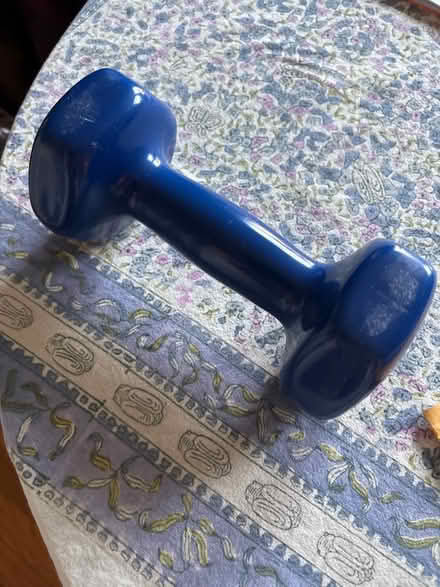 Photo of free 5 lbs dumbbell (Belmont-Watertown) #2