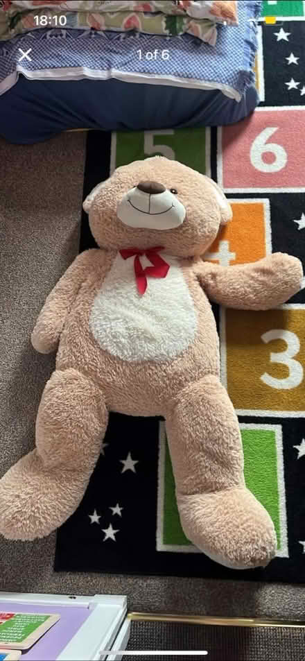Photo of free Costco giant teddy (Cannonmills EH7) #1