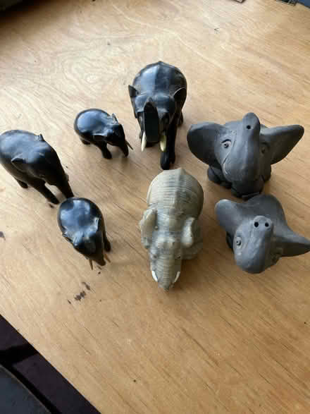 Photo of free Elephants (Parkstone, Poole. BH14.) #1