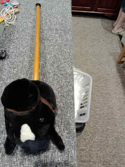 Photo of free Hobby horse (Nailsea BS48) #2