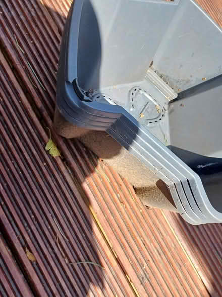 Photo of free Potato planters (Larkhall) #1