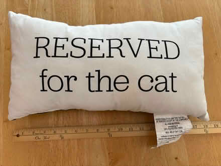 Photo of free "Reserved for the cat" pillow (Downtown Sunnyvale) #2