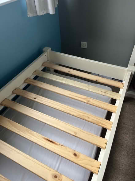 Photo of free Single Bed (Broadwater Down TN2) #3