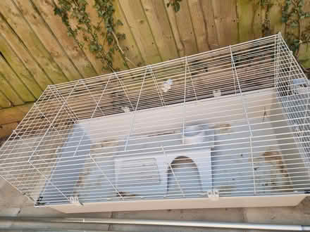Photo of free Cage (CM18) #1