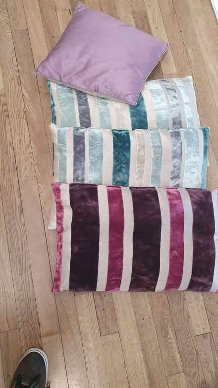 Photo of free 4 cushions (Odd Down) #1