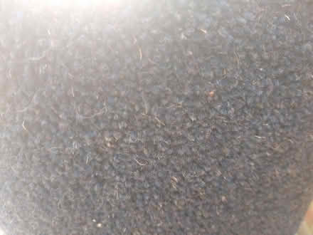 Photo of free Blue carpet off cut (Newtown RG1) #2