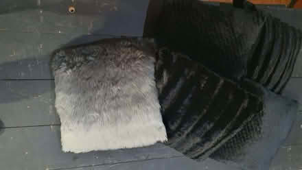 Photo of free 5 cushions (Odd Down) #1