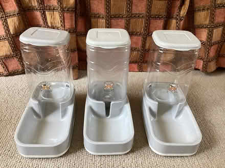 Photo of free Cat feeders: two for biscuits; one for water (Marston Magna BA22) #1