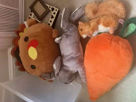 Photo of free Stuffed animals (Chestnut Hill) #1