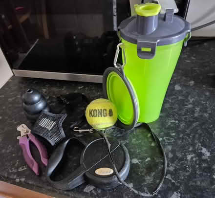 Photo of free Pet items (Worcester WR3) #1