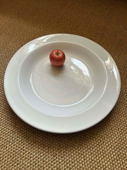 Photo of free Large Habitat serving plate (Old Town HP2) #1