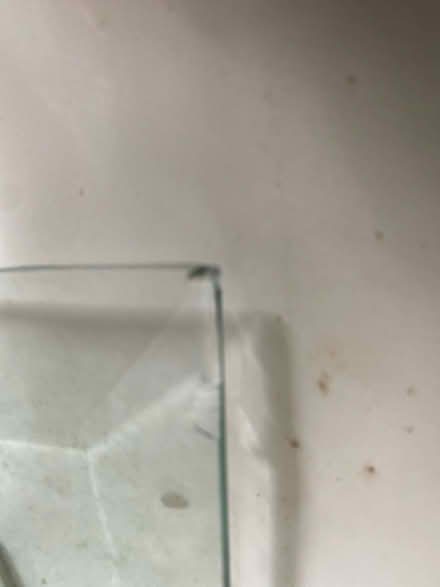 Photo of free Piece of arched glass (Southport PR8) #2
