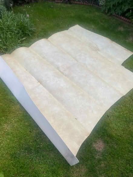 Photo of free Lino (Trafford M16) #1