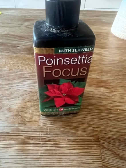 Photo of free Flower feed (Hertford SG13) #1