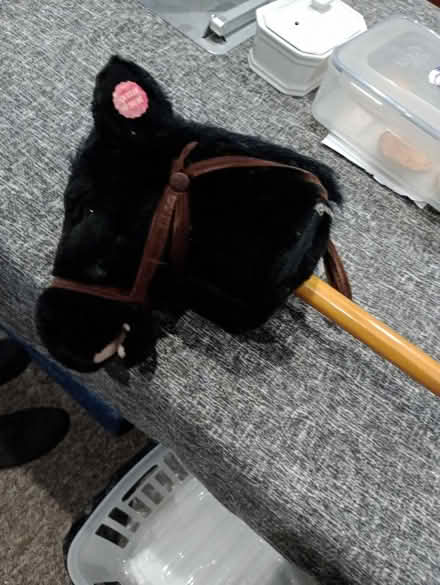 Photo of free Hobby horse (Nailsea BS48) #1