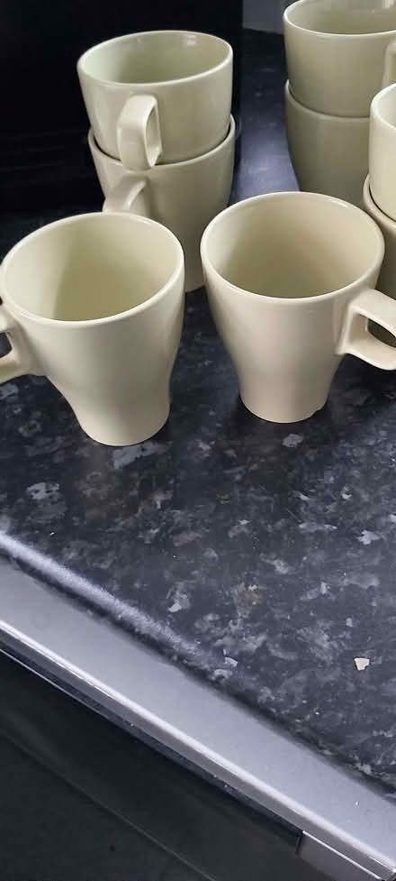 Photo of free 8 cups (Moseley B13) #3