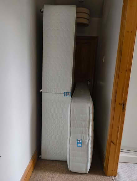 Photo of free Single divan bed (Primrose LA1) #2