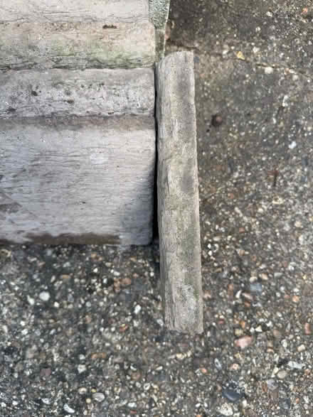Photo of free Garden Stepping stones/Paving slabs (Heybridge CM9) #3
