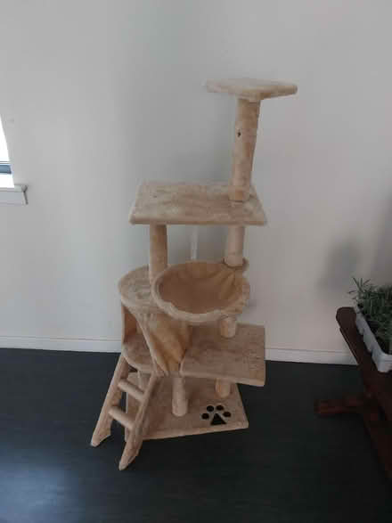 Photo of free Small cat tree (Edinburgh) #1