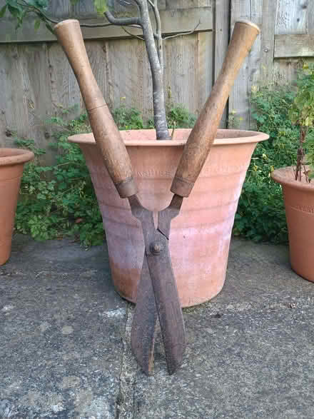 Photo of free Hedge trimmer (Bear Flat) #1