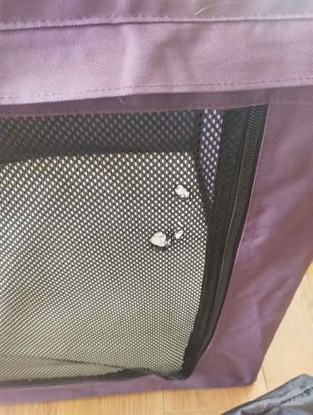 Photo of free Travel Pet Crate (Storrington RH20) #3