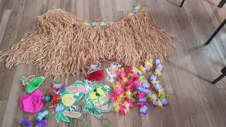 Photo of free Hawaiian themed items (Odd Down) #1