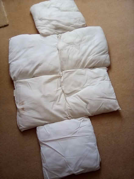 Photo of free Six cushion pads (Ewell) #1
