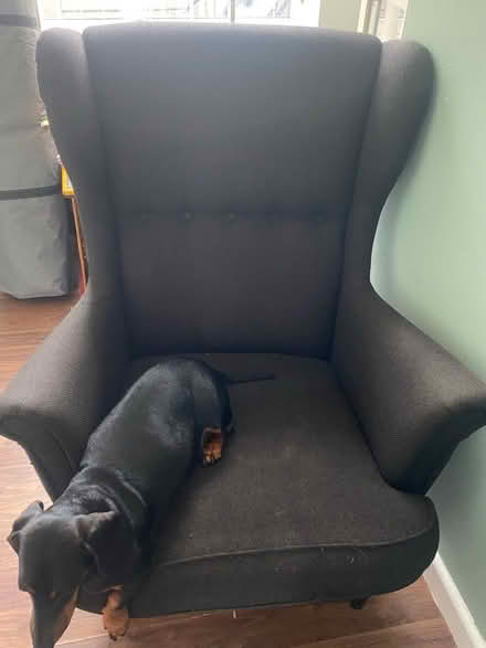 Photo of free IKEA chair (Wallasey CH45) #1