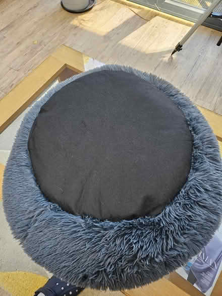 Photo of free Therapeutic Cat Bed (DA1) #4