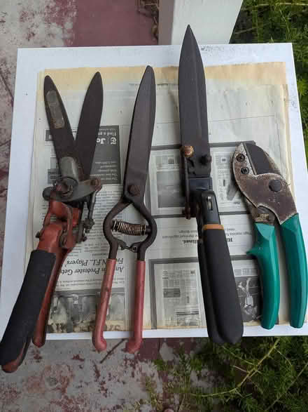 Photo of free Gardening Hand Tools (El Cerrito Plaza) #2