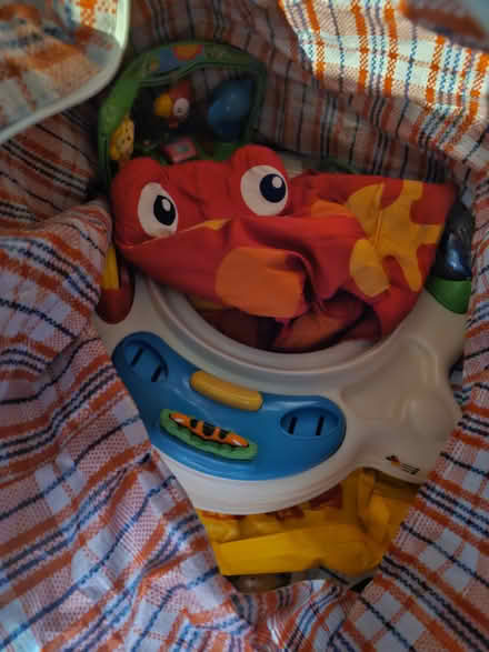 Photo of free Baby bouncer (Snodland ME6) #2