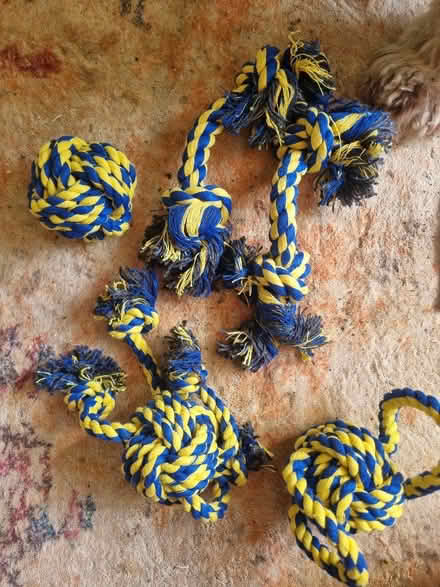 Photo of free Dog toys unused (Charlton Kings GL52) #1
