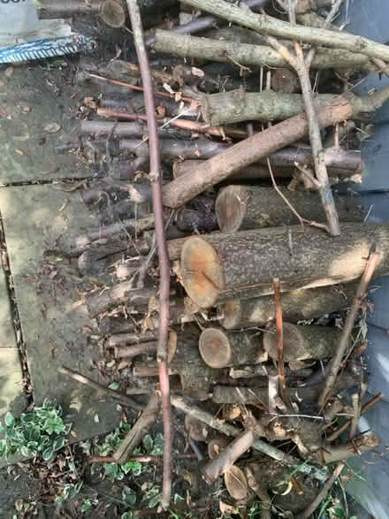 Photo of free Wood for BBQ (SS15 5NW) #1