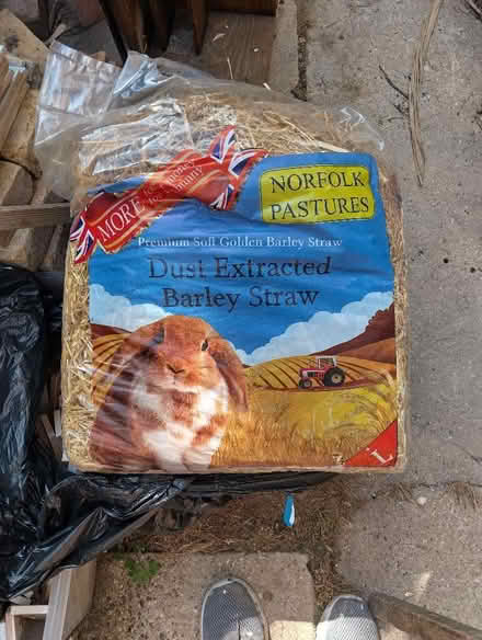 Photo of free Straw and hay pet bedding (New England) #1