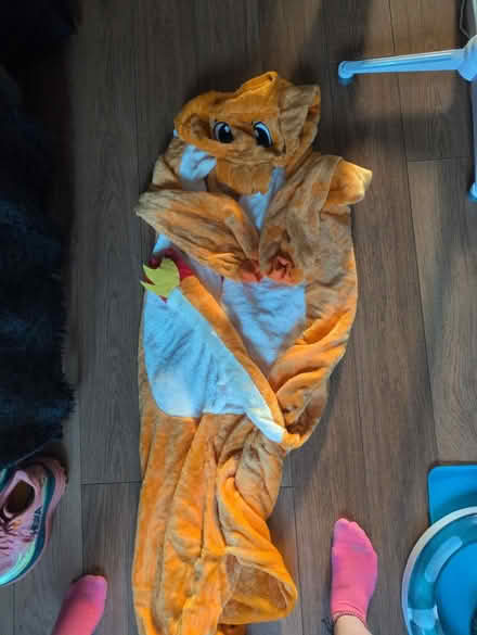 Photo of free Pokémon onsie (E17 6DA) #1