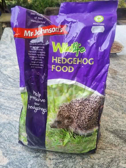 Photo of free Hedgehog food (Odd Down) #1