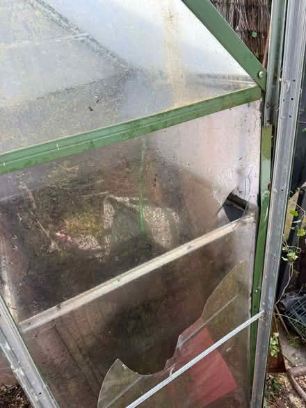 Photo of free Small Greenhouse (Ratcliffe-on-Soar NG11) #3