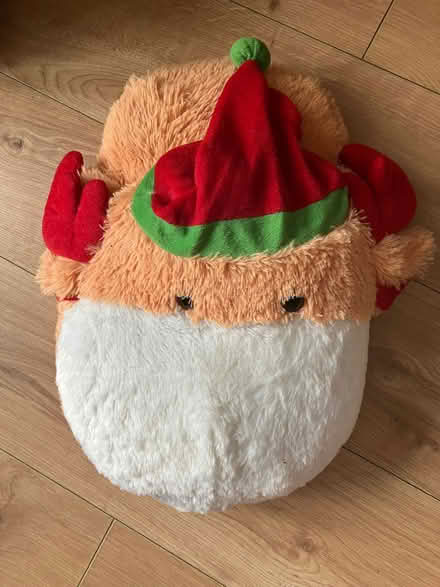 Photo of free Christmas foot cosy (Popley RG24) #1