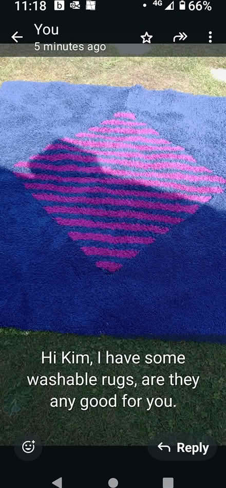 Photo of free IKEA rugs (coventry CV6) #4